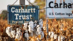 Carhartt’s Sustainability Play: A Blueprint for Brand Building